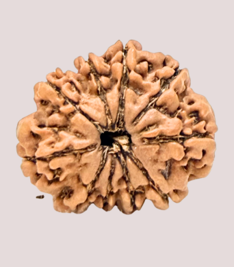 10 Mukhi