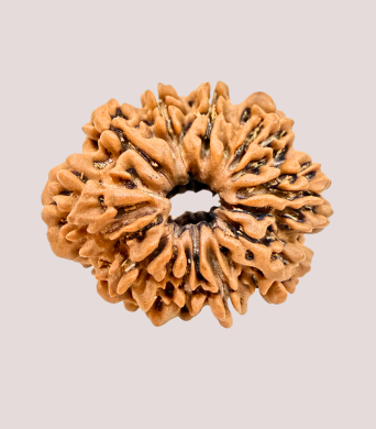 11 Mukhi