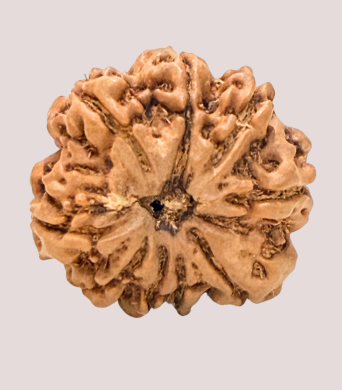 9 Mukhi