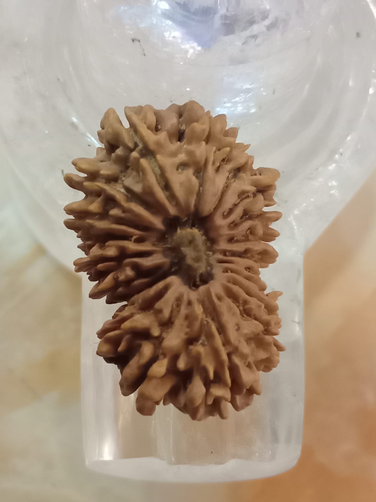 20 Mukhi