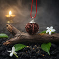 7 Mukhi Ganesh Rudraksh associated with Lord  Ganesha and the Maa Lkshmi bless energy.