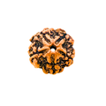 Original 5 Mukhi Nepali Rudraksha