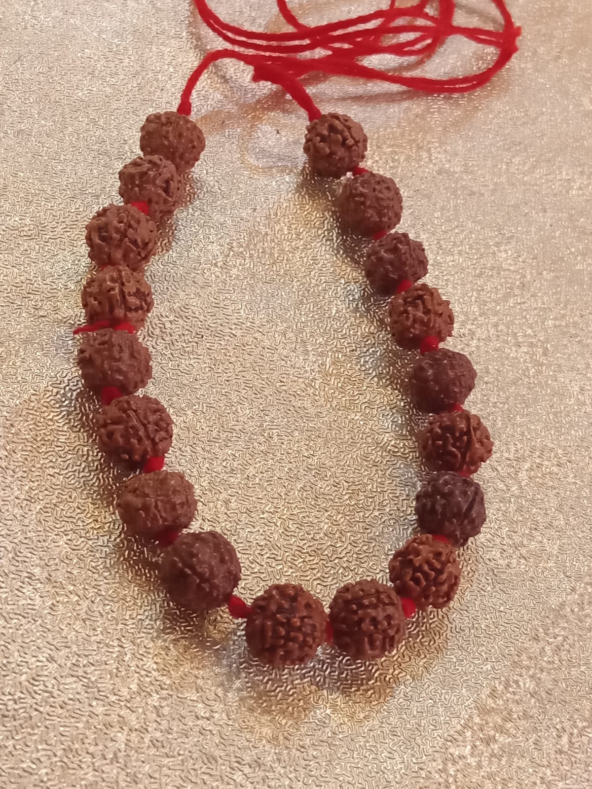 Rudraksh Rakhi