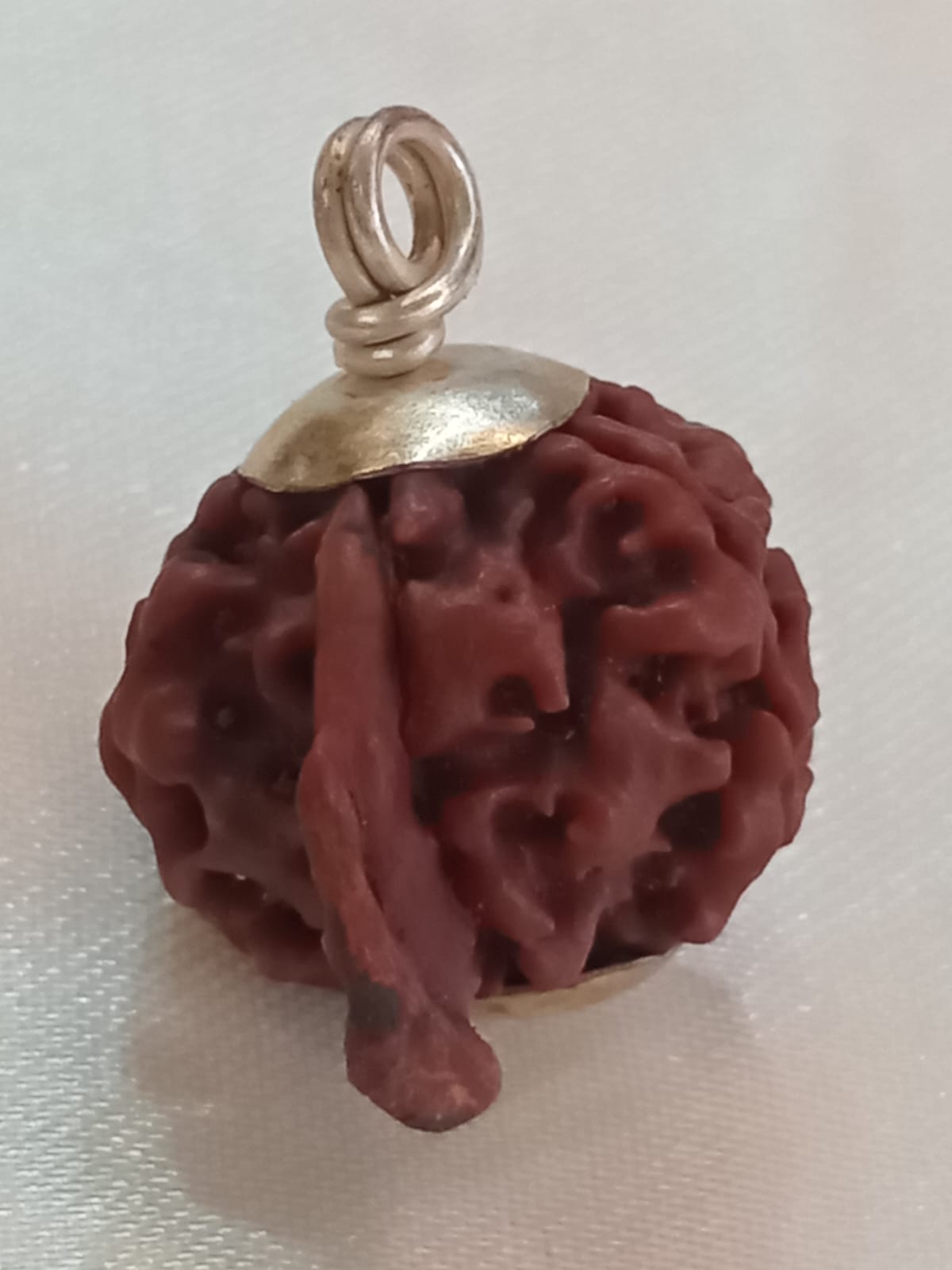 7 Mukhi Ganesh Rudraksh