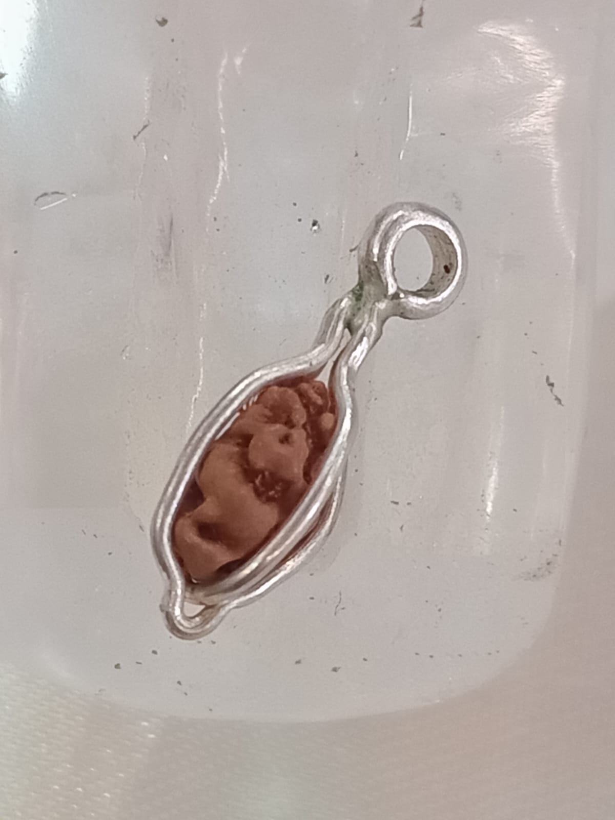 1 Mukhi Indonesian Rudraksh with Silver Pendant